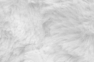  Yün dokusu geri Grou. Lüks beyaz yün palto dışında, arka plan ve duvar kâğıdı için yakın çekim makro.