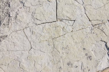 Arkaplan olarak granüler kireçtaşı kaya yüzeyi