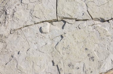 Arkaplan olarak granüler kireçtaşı kaya yüzeyi