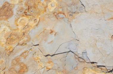 Arkaplan olarak granüler kireçtaşı kaya yüzeyi