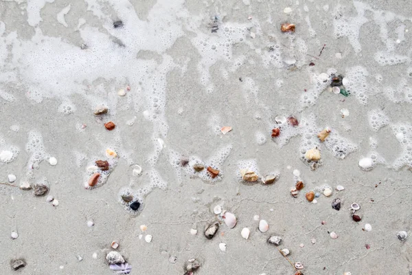 Морські Мушлі Піщаному Пляжі Літній Фон Вид Зверху — стокове фото