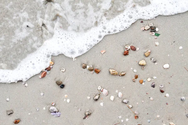 Морські Мушлі Піщаному Пляжі Літній Фон Вид Зверху — стокове фото