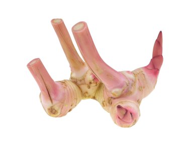 Beyaz arkaplanda izole edilmiş taze galangal rizom