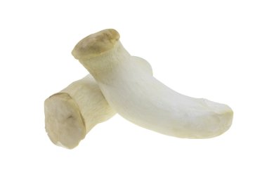 Kral istiridye mantarı (Eringi) beyaz arka planda izole edilmiş.