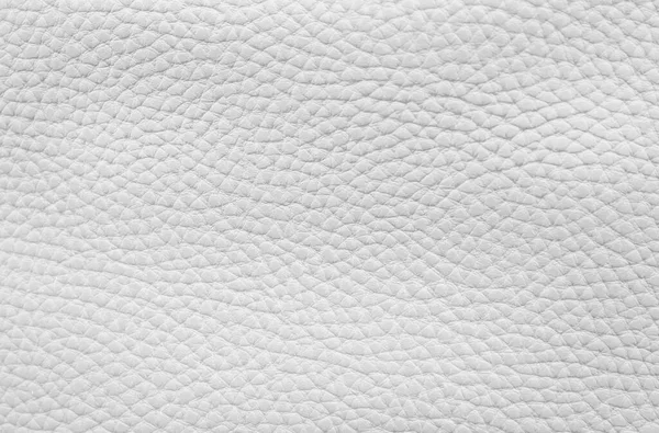 White Leather Texture Used Background — Stock Photo, Image