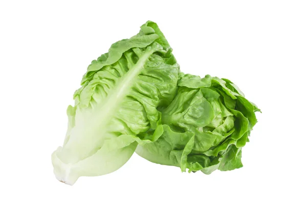Baba Zöld Mert Saláta Izolált Fehér Háttér — Stock Fotó