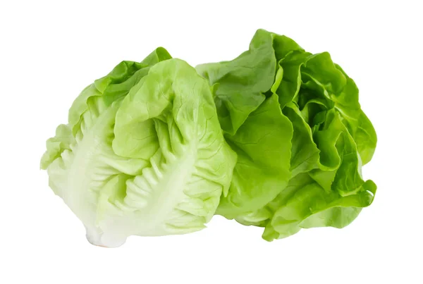 Ensalada Lechuga Verde Aislada Sobre Fondo Blanco — Foto de Stock