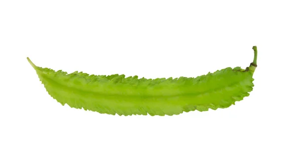 Färsk Grön Winged Bean Isolerad Vit Bakgrund — Stockfoto