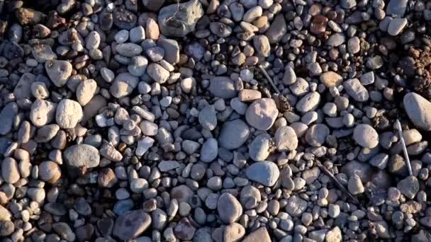 Graue Felsen Strand Bei Sonnenuntergang — Stockvideo