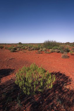 Taşra manzarası, Orta Avustralya, Kuzey Bölgesi