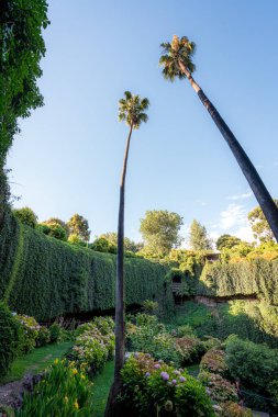 Umpherston Çukur Bahçesi, Gambier Dağı, Avustralya