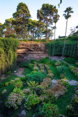 Umpherston Çukur Bahçesi, Gambier Dağı, Avustralya