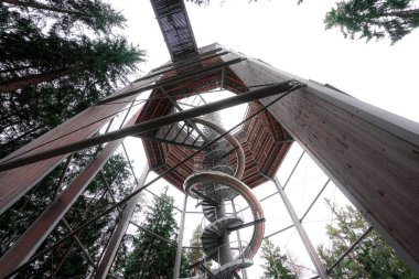 Lipno nad Vltavou 'daki ağaç tepesi yürüyüş kulesi (stezka korunami stromu)