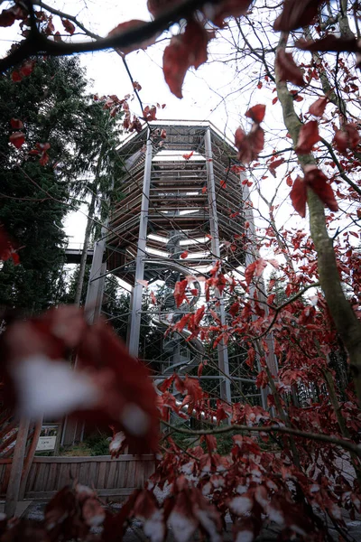Treetop walkway tower in Lipno nad Vltavou (stezka korunami stromu)