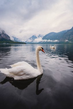 Avusturya Hallstatt, Hallstat Köyünün Klasik Görünümü.