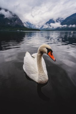 Avusturya Hallstatt, Hallstat Köyünün Klasik Görünümü.