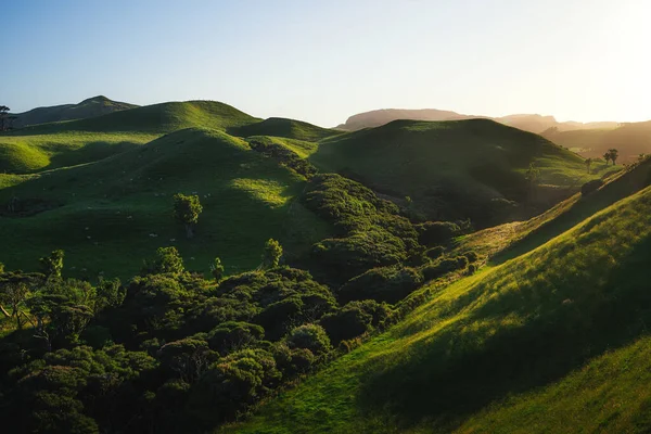 Sonnenaufgang Strand Von Wharariki Neuseeland — Stockfoto