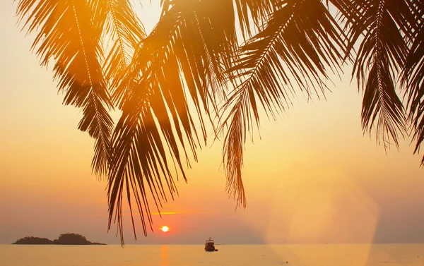 Una hermosa puesta de sol en el Golfo de Tailandia y ramas de palmeras . — Foto de Stock