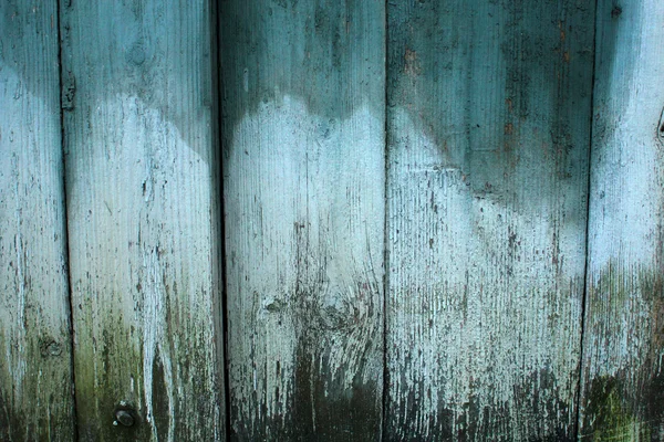 Tablero de madera viejo color verde-azul . — Foto de Stock