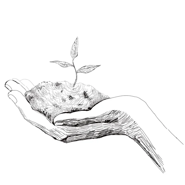Concepto de ecología. La mano sostiene un pequeño brote . — Vector de stock