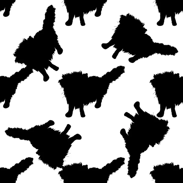 Fondo abstracto en blanco y negro con cats.Seamless . — Vector de stock