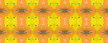 Geometrik resim. Ayna izi. Eski Doku. Dashiki baskısı. İyi El Çizimi. Indigo, Crimson ve Dark Springs. Sarı.