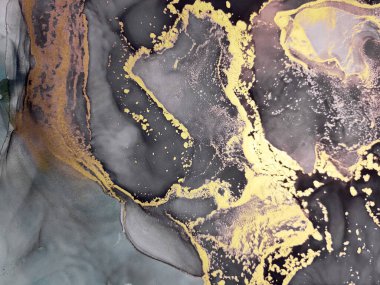 Black and Gold Alcohol Ink. Golden Smudges. Mixed Paint. Black Blended Aquarelle. Space Background. powder Ink Blur. Gold Divorces on Black.
