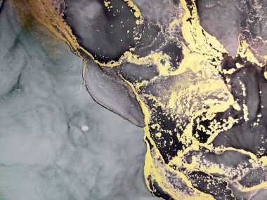 Siyah ve Altın Alkol Mürekkebi. Altın sarısı sıçrama. Alkol İllüstrasyonu. Zarif Yıkama Çizimi. İzole edilmiş boya. Stars Aquarelle boyası. Siyah Üzerine Altın Boşanmalar.