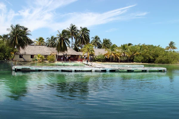 Cabaña, hotel en la costa caribeña —  Fotos de Stock