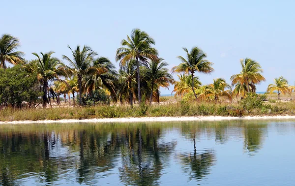 Mar del Caribe turquesa —  Fotos de Stock