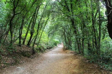 Göldeki alttaki taşların yansıması