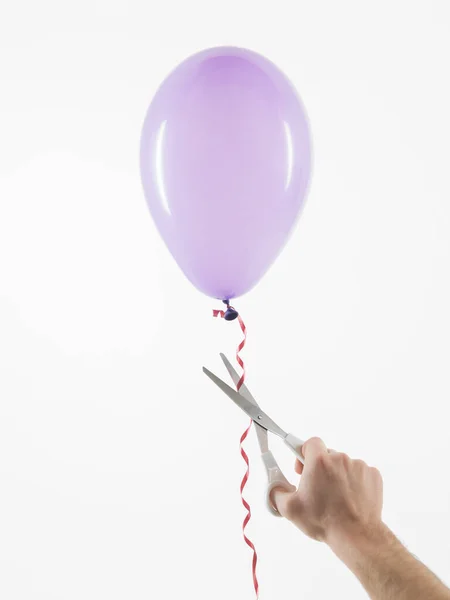 Erkek eli, mor bir balonu serbest bırakmak için makas kullanıyor, beyaz arka plan, konsept