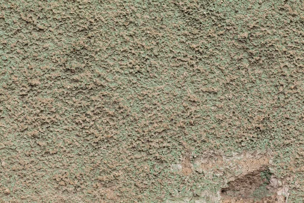 Old Wall Texture Peeling Green Traces Mold — Stock Photo, Image