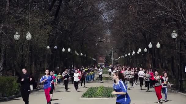 Massa turva da maratona — Vídeo de Stock