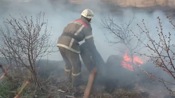 Ontsteking van droog gras. — Stockvideo