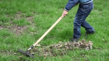 Küçük çocuk yaprak rake temizler.