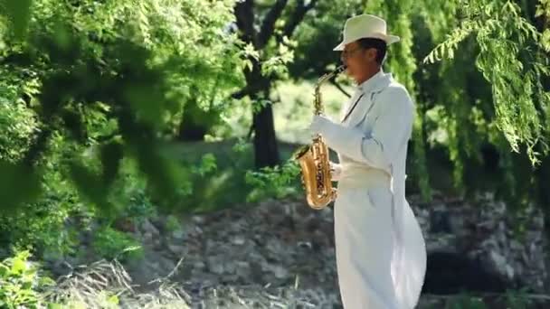 Saxophonist in nature. — Stock Video