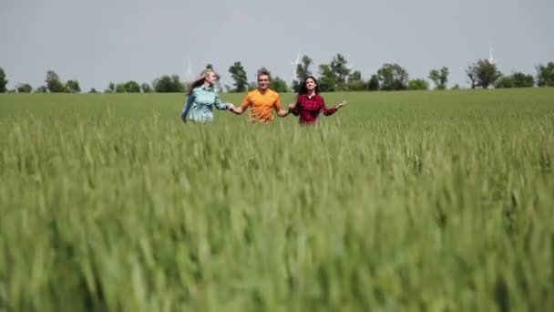 Drei Freunde. ein Mann und zwei Mädchen, die Händchen haltend auf der grünen Wiese laufen. — Stockvideo