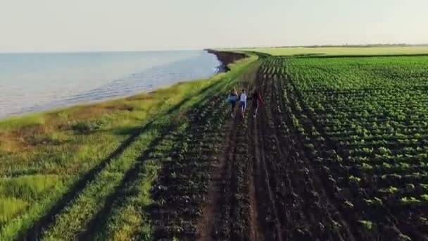 Luchtfoto. Vliegen over de klif aan zee. — Stockvideo