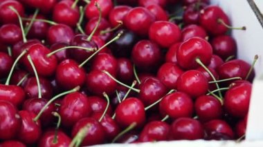 Kiraz. Yakın çekim. Yön kamera.