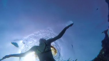 Kız havuzda su altında yüzüyor. Alt görünümü.