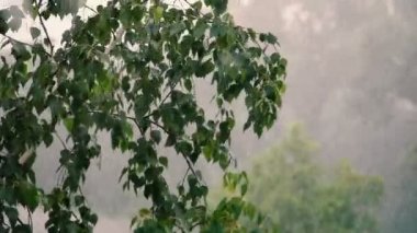 Kuvvetli rüzgar ve şiddetli yağmur.