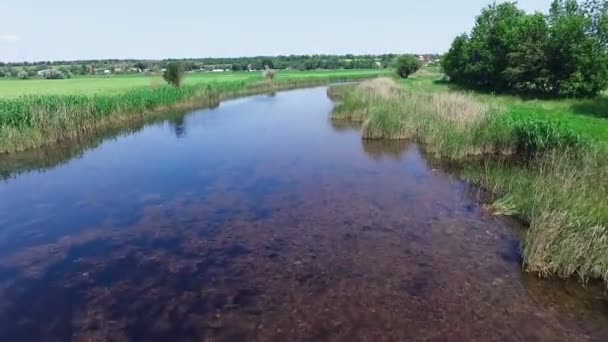 AÉRIAL : Une petite rivière. Vue d'en haut. Drones volants . — Video