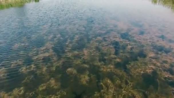 Antenne: ein kleiner Fluss. Blick von oben. Drohnen fliegen. — Stockvideo