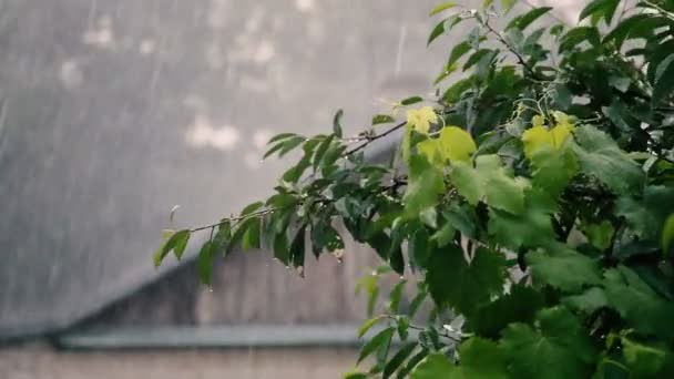 Chuva caindo no telhado de uma casa . — Vídeo de Stock