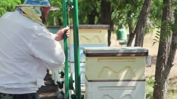 Die Arbeit des Imkers. Den Bienenstock auf einem Bienenstock neu anordnen. — Stockvideo