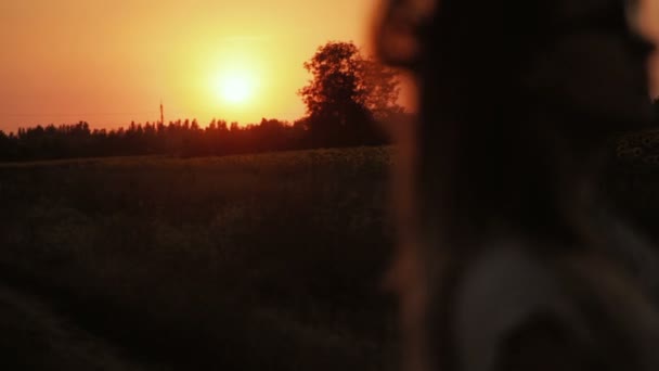 Jonge vrouw silhouet bij zonsondergang. Serie. — Stockvideo