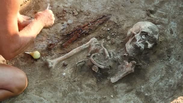 Penggalian arkeologi di wilayah Zaporozhye, Ukraina. 09.09.2016 Sekelompok arkeolog menemukan pemakaman orang-orang kuno, yang lebih dari 2000 tahun . — Stok Video