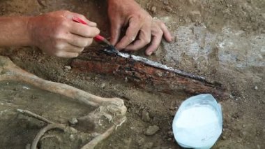 Arkeolojik kazılar bölgede Zaporozhye, Ukrayna. Arkeologlar bir grup 2000'den fazla yıl eski insanların mezar keşfetti 09.09.2016.