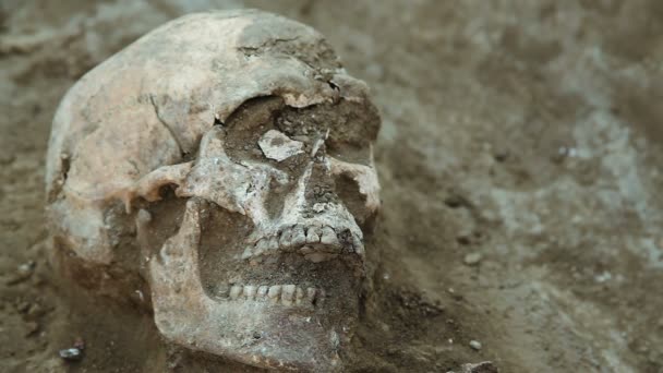 Arkeolojik kazılar bölgede Zaporozhye, Ukrayna. Arkeologlar bir grup 2000'den fazla yıl eski insanların mezar keşfetti 09.09.2016. — Stok video